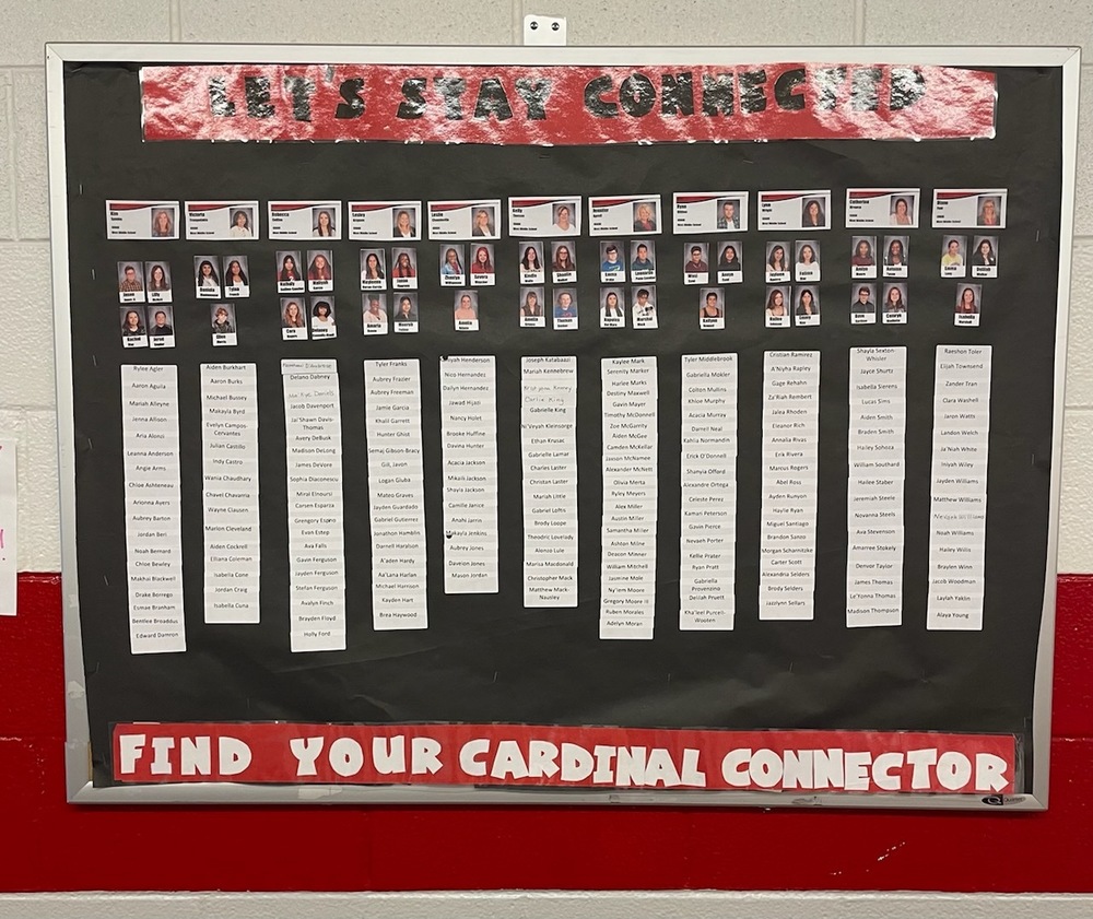 Cardinal Connectors