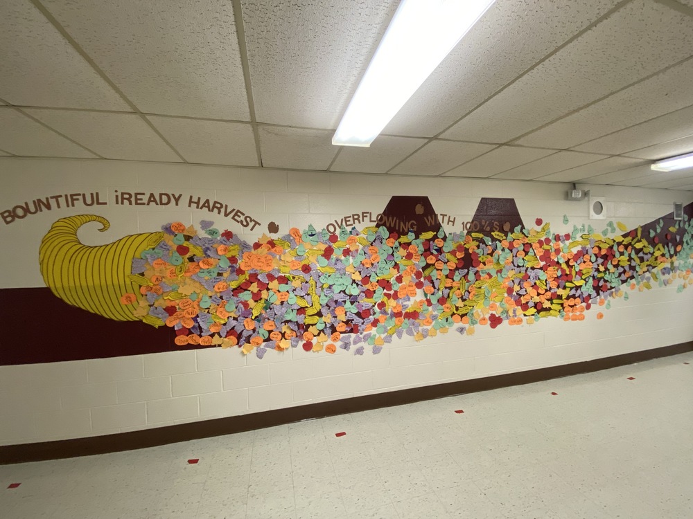 November i-Ready Display